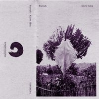 Furozh - Knew Idea