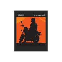 INSAINT - in orange mud