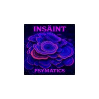 INSAINT - psymatics