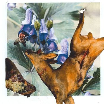 Uncertain - Wolfsbane