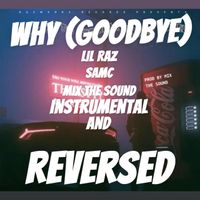 Lil Raz featuring Mix The Sound - Why (Goodbye)