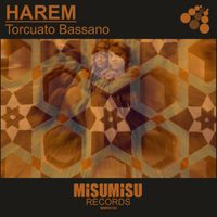 Torcuato Bassano - Harem