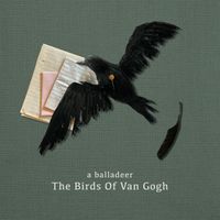 a balladeer - The Birds Of Van Gogh