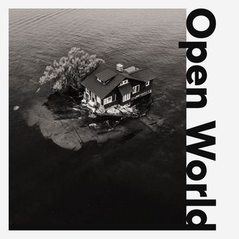 WillGell. - Open World (Explicit)