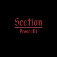 ProspeKt - Section (Explicit)
