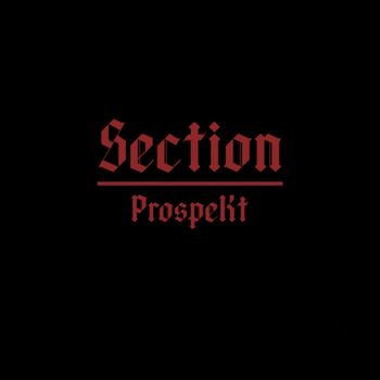 ProspeKt - Section (Explicit)