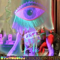 Chicks On Speed - Synthesize