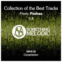 Pashaa - Collection of the Best Tracks From: Pashaa, Pt. 5