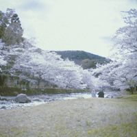 KENJI KIHARA - Izu Ambient 022