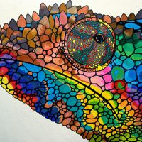 Amentia - Cameleon