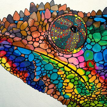 Amentia - Cameleon