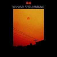Law - WHAT YOU NEED