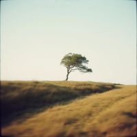 Xauli - Minimal Product