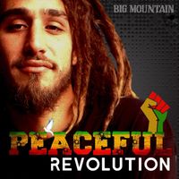 BIG MOUNTAIN - Peaceful Revolution