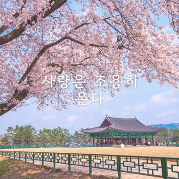 NARI - 사랑은 조용히 온다
