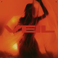 SLWDWN - Veil