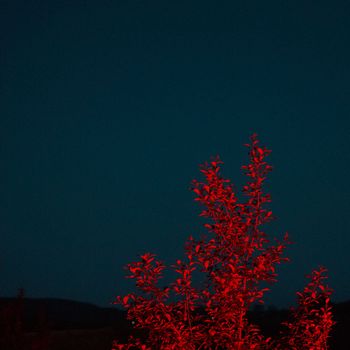Nektar - Faller