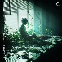 Caelum - trapped