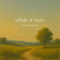 James Marley - while it lasts