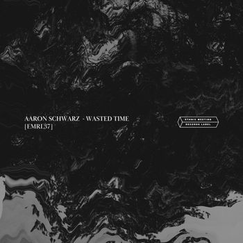Aaron Schwarz - Wasted Time