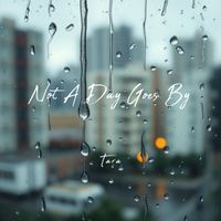 Tara - Not A Day Goes By