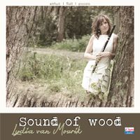 Lydia van Mourik featuring Martin Mans, Martin de Greef and Maurice van Dijk - Sound of wood