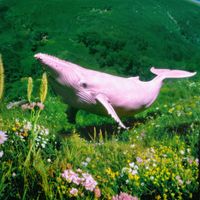 Jayda G - The Shiver