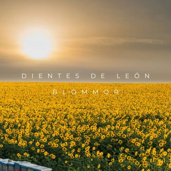 Dientes de León - Blommor