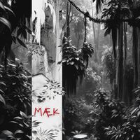 Æ.Æ - MÆK