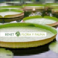 Benet - Flora Y Fauna