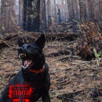 BOOM - Don't Be Scarred (Explicit)