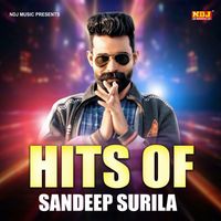 Sandeep Surila - Hits Of Sandeep Surila