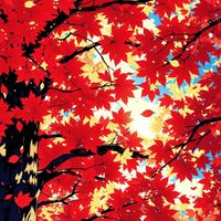 Trey Holiday - You Smell Like Autumn
