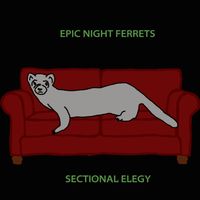 Epic Night Ferrets - Sectional Elegy (Explicit)