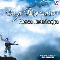 Bernard - Nesa Retchaga