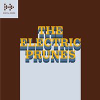 The Electric Prunes - Digital Dozen