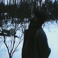 Norwood (feat. Katy Pinke) - Didn't Feel so Bad