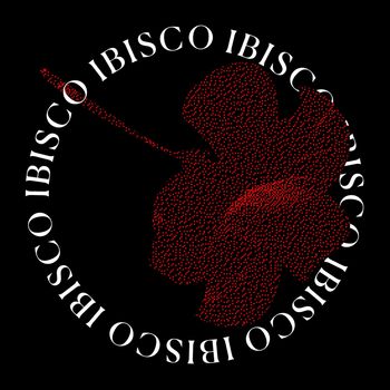 Talk To Her - Ibisco