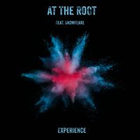 Deeplastik - At The Root Experience (Remixes)
