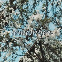 Lynx - remember