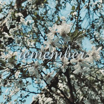 Lynx - remember