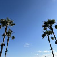 sixty - new whip (Explicit)