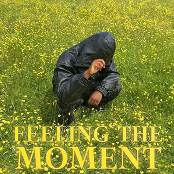 LT - Feeling the Moment (Explicit)