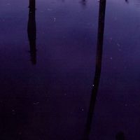 BAILE - Ambient Selections (Reworked)