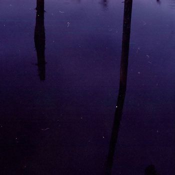 BAILE - Ambient Selections (Reworked)