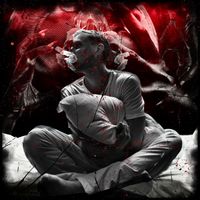 InSane - Emergency Call