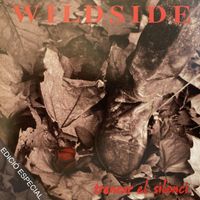 Wildside - Trencar el silenci