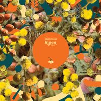 Sampology - Ripen, Vol. 1