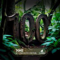 30Hz - Beyond Good and Evil