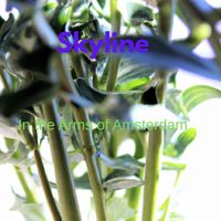 Skyline - In the Arms of Amsterdam